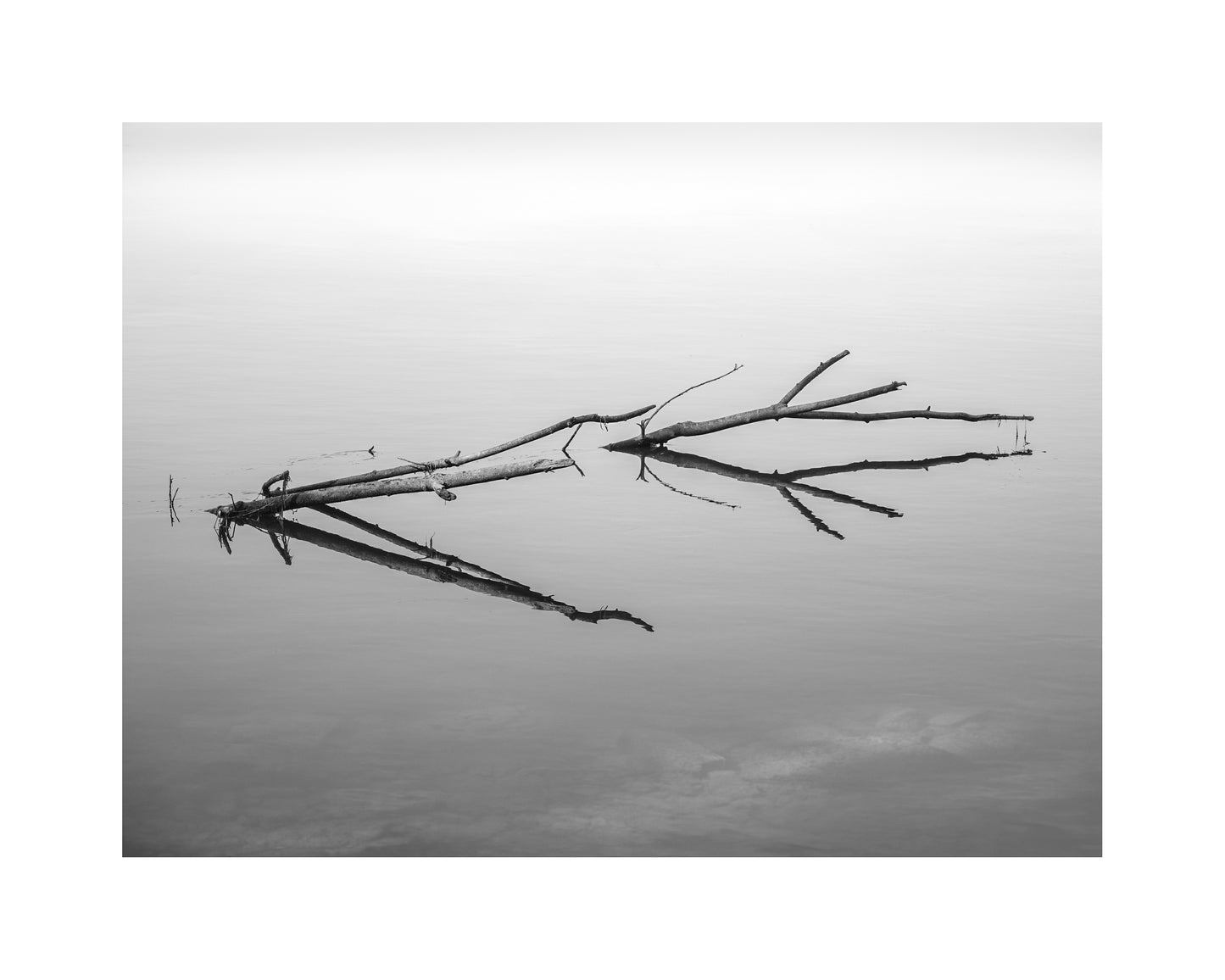 ET SI ON ALLAIT VOIR 16 x 20 Paul Veilleux professionnelle Montréal Paul Veilleux Artiste