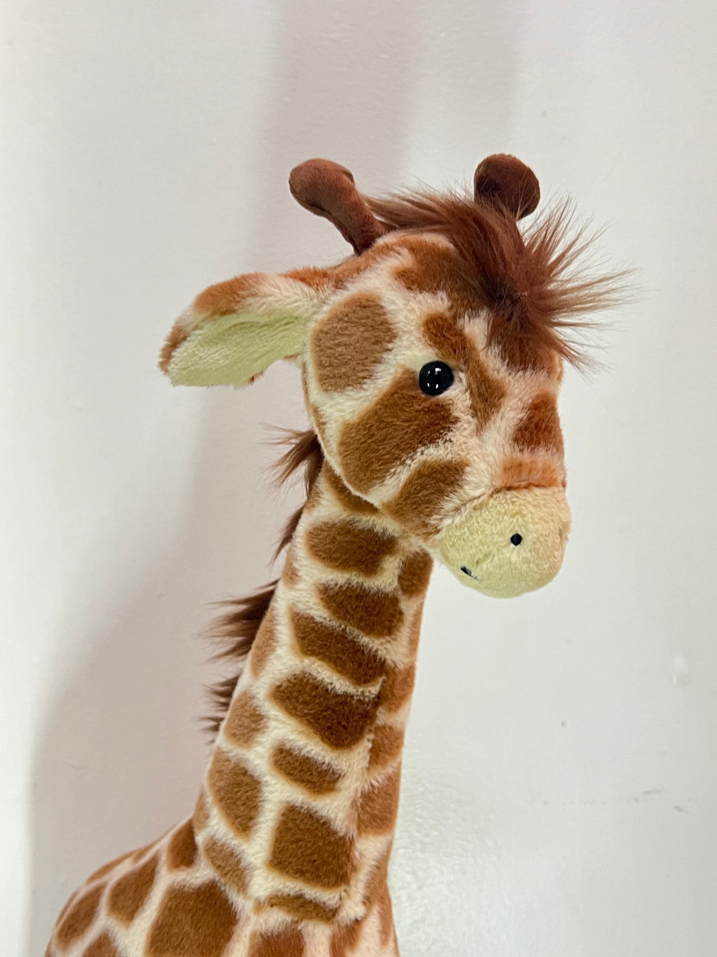 Dara la girafe dessinée à Londres