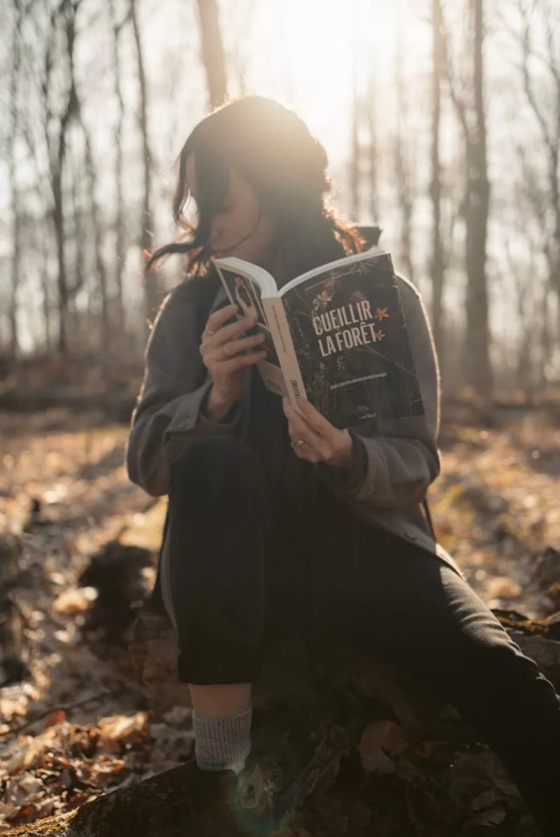 CEUILLIR LA FORÊT identifier, cueillir, cuisiner