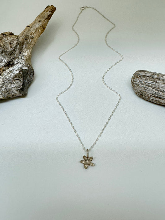 Collier Asclépiade Argent Amulette par Bénédite Séguin H-A-P-18