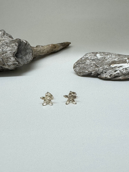 Boucles d'oreille Asclépiade Argent Amulette par Bénédite Séguin Boucles d'oreille Asclépiade