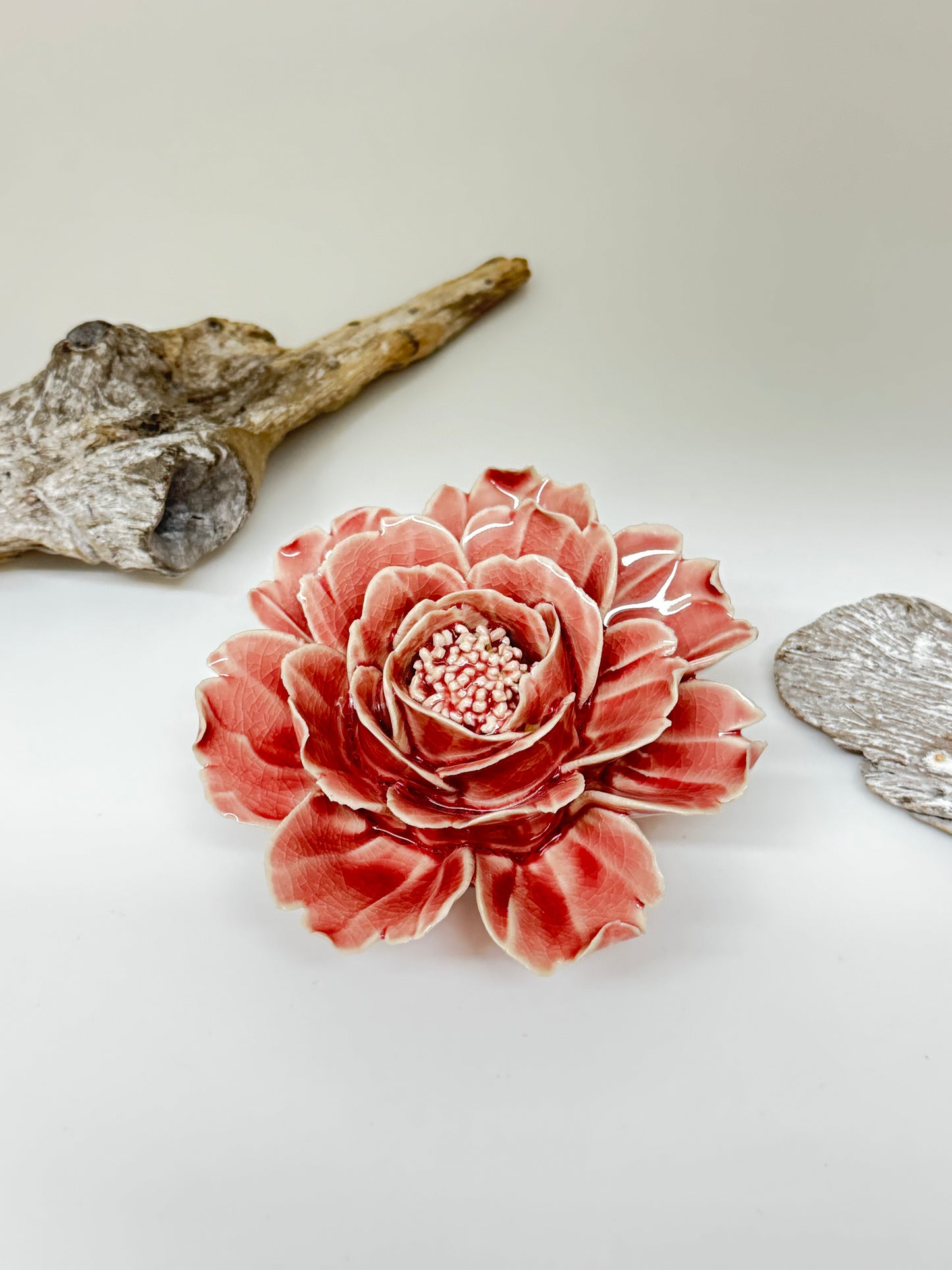 Rose Champagne en porcelaine Fait mains par les Artisans de Chive rose Champagne anglaise ivoire EG37