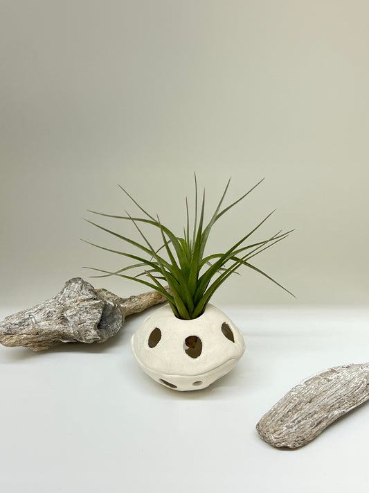 Jardinière en porcelaine fait main à Montréal Régina Sens