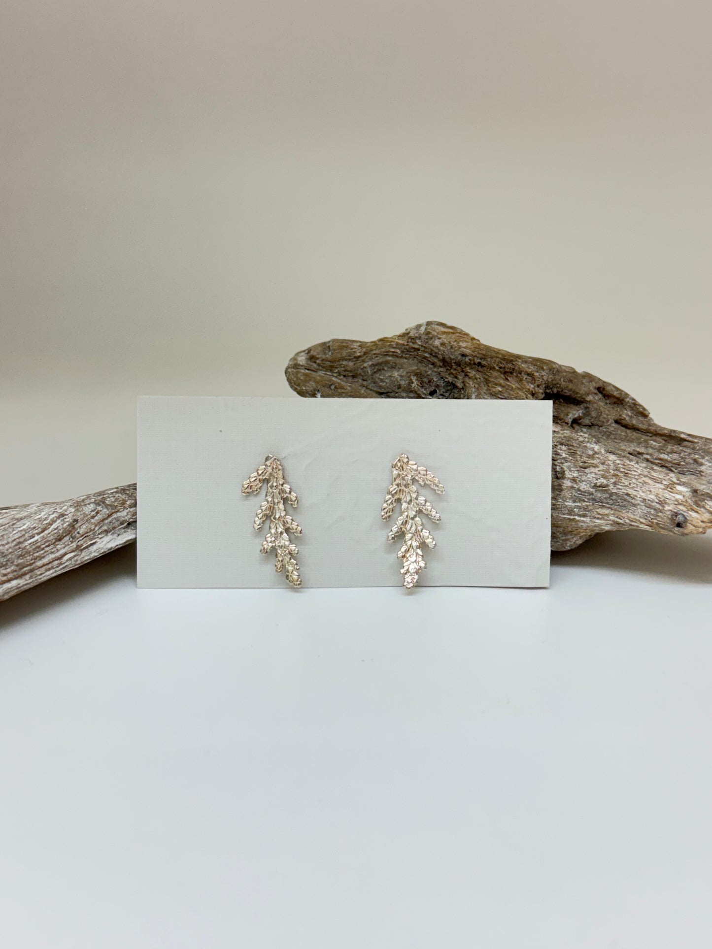 Boucles d’oreilles fixe 2 Cèdre thuya occidental en argent Sterling Amulette par Bénédite Séguin H-C-BoF2