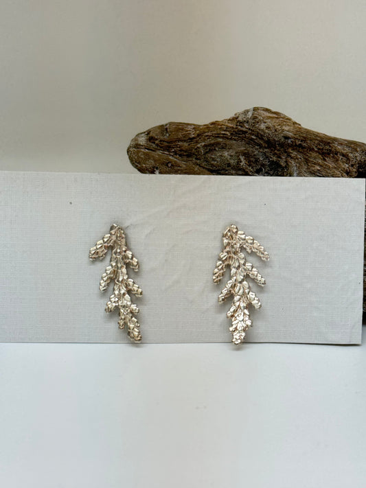 Boucles d’oreilles fixe 2 Cèdre thuya occidental en argent Sterling Amulette par Bénédite Séguin H-C-BoF2