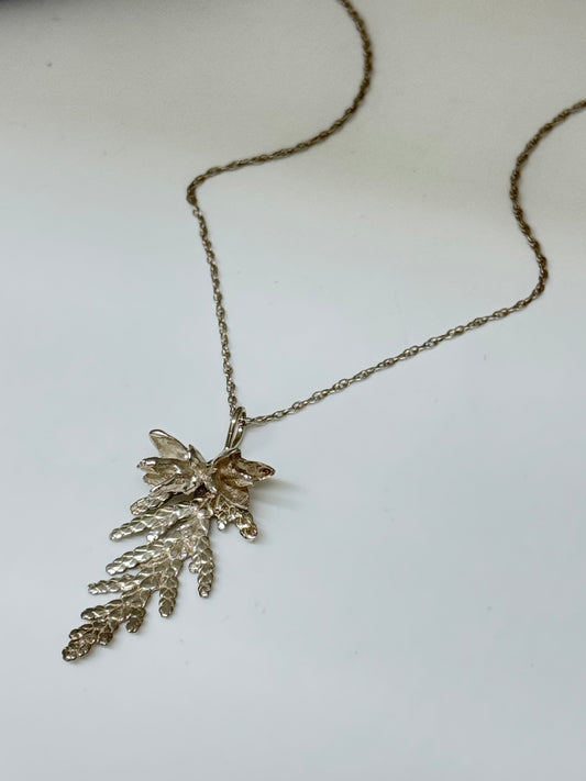 Collier Cèdre pendentif 4, thuya occidental