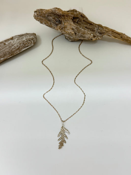 Collier Cèdre 2, Thuya occidental Amulette par Bénédite Séguin H-C-P2