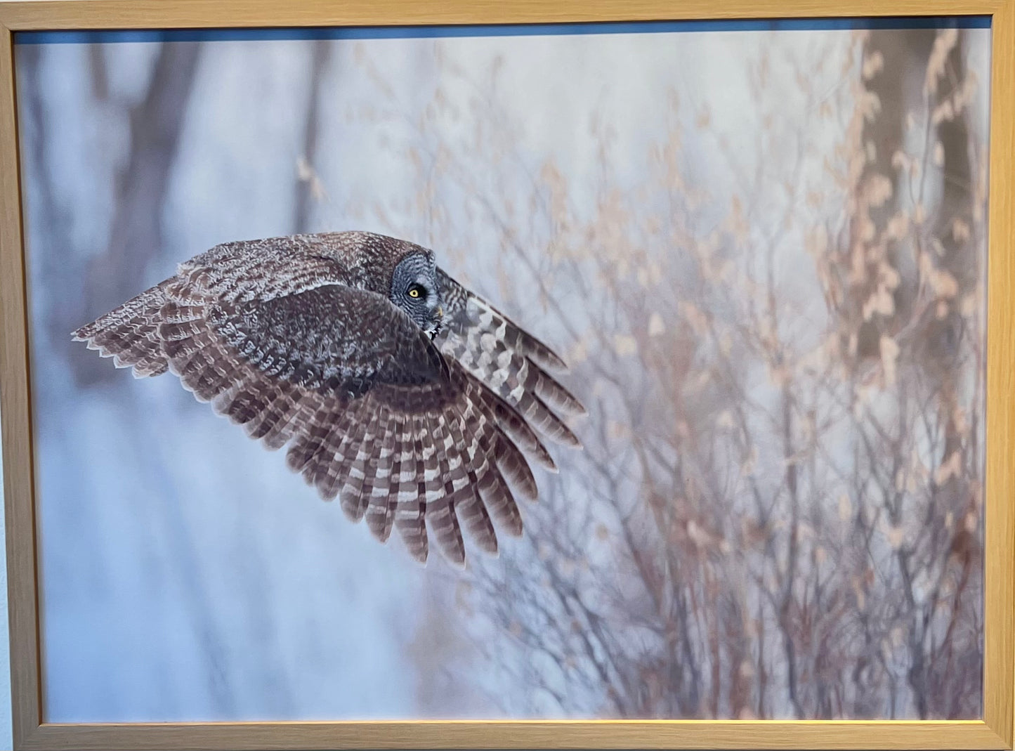 L'envole Philippe De-Bruyne Impression avec lamination satinex Philippe De-Bruyne