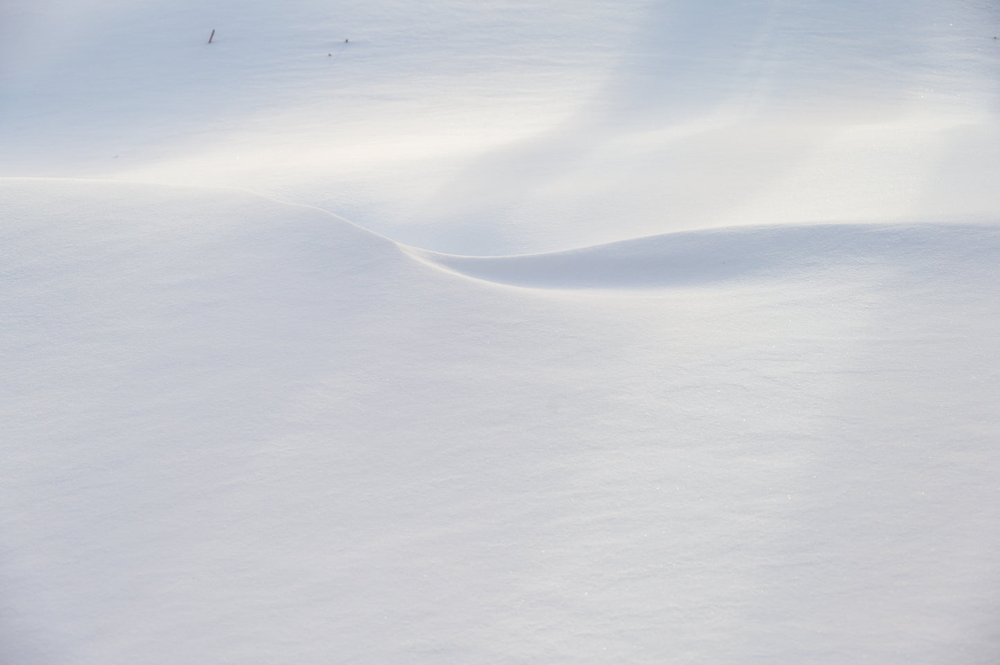 PURETÉ 16 x 20 Paul Veilleux professionnelle Montréal PURETÉ Paul Veilleux Artiste