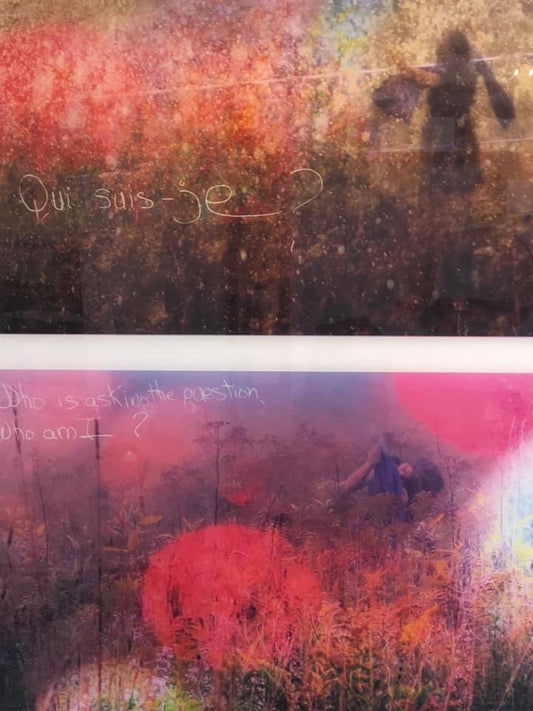 Sue Mills - Artiste photographe