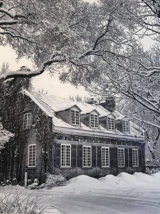 Michel Bury - Photographe