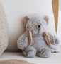 L'ours Alfred dessinée en Australie And the Little Dog Laughed L'ours Alfred