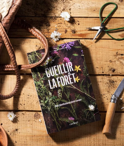 CEUILLIR LA FORÊT identifier, cueillir, cuisiner