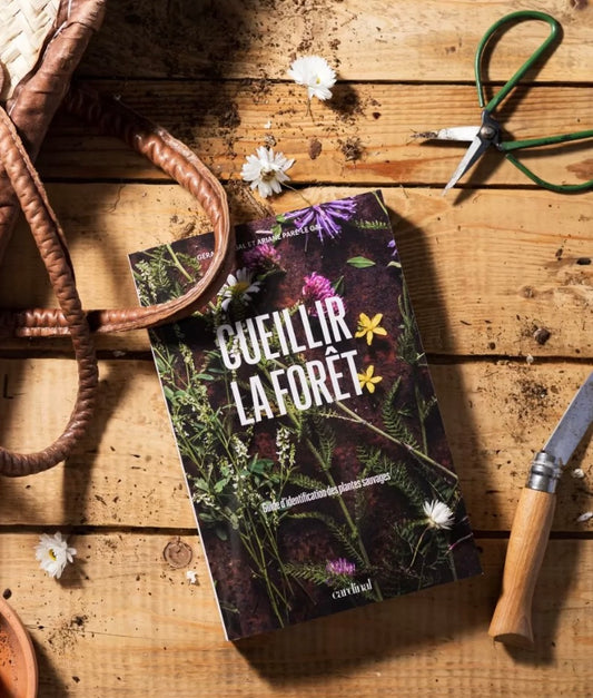 CEUILLIR LA FORÊT identifier, cueillir, cuisiner