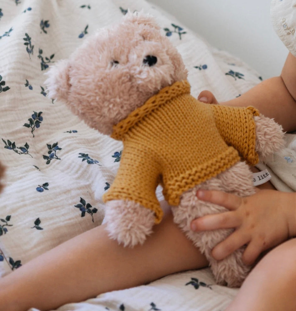 Dulcie the plush bear