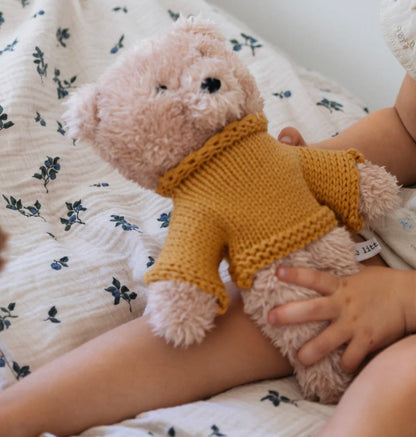 Dulcie the plush bear