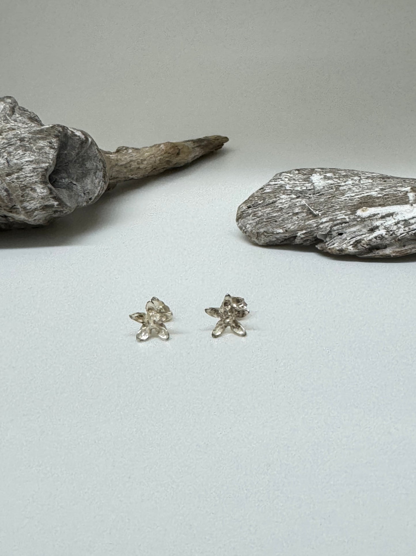 Boucles d'oreille Asclépiade Argent Amulette par Bénédite Séguin Boucles d'oreille Asclépiade