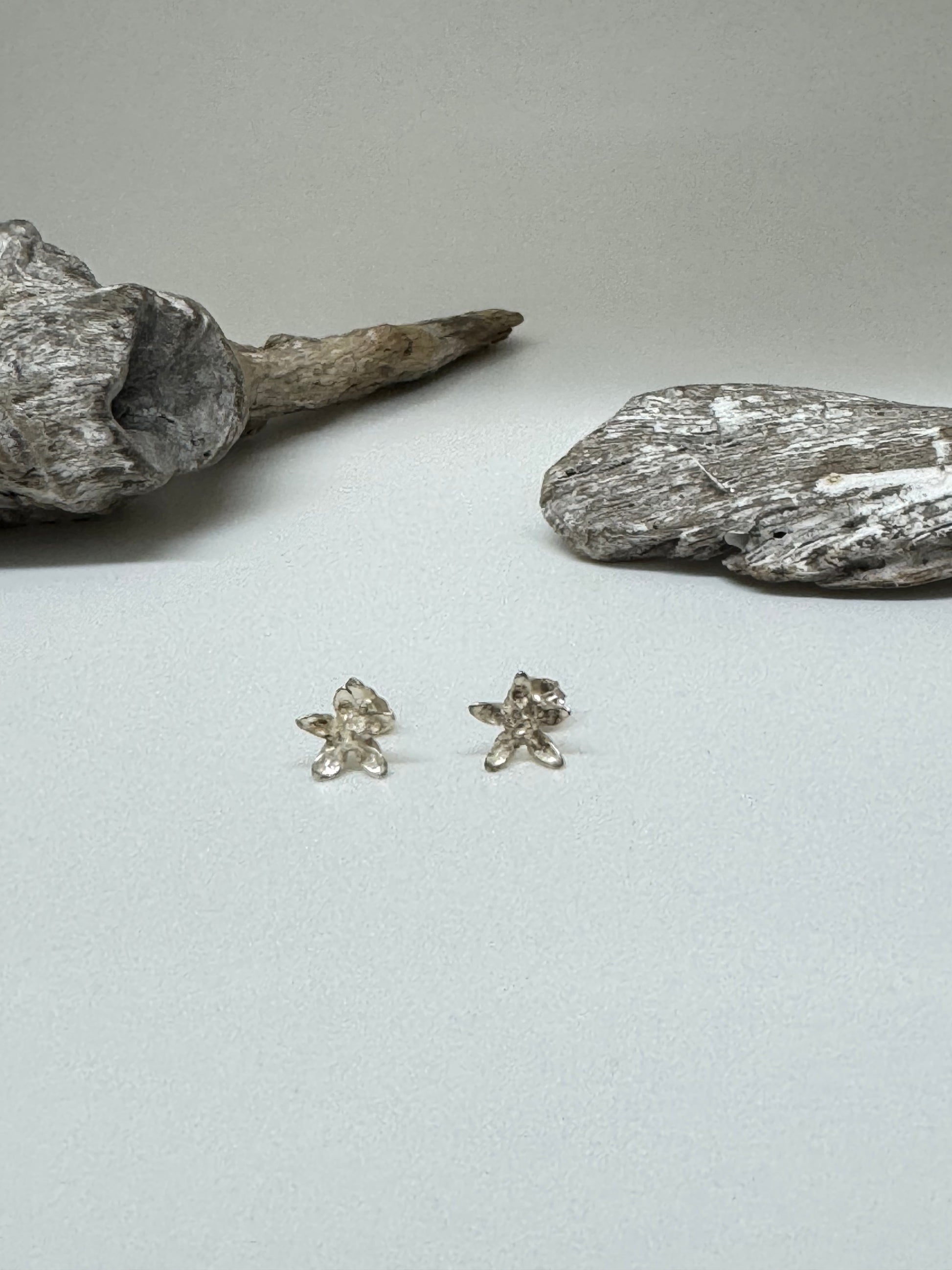 Boucles d'oreille Asclépiade Argent Amulette par Bénédite Séguin Boucles d'oreille Asclépiade