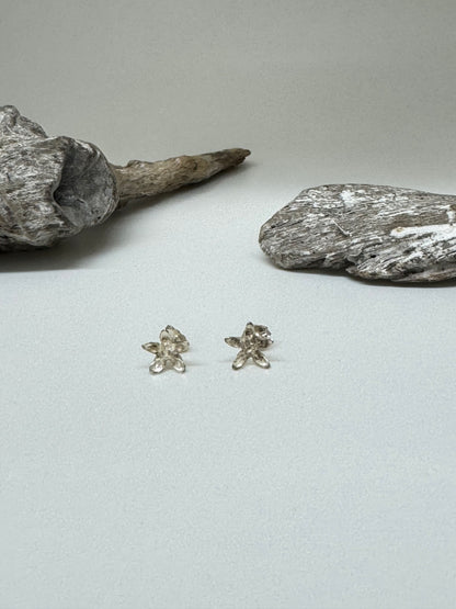 Boucles d'oreille Asclépiade Argent Amulette par Bénédite Séguin Boucles d'oreille Asclépiade