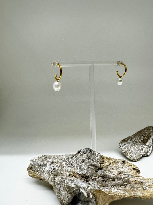ASTERIA Boucles d'oreilles vermeil avec perles d'eau douce Véronique Roy Montréal ASTERIA
