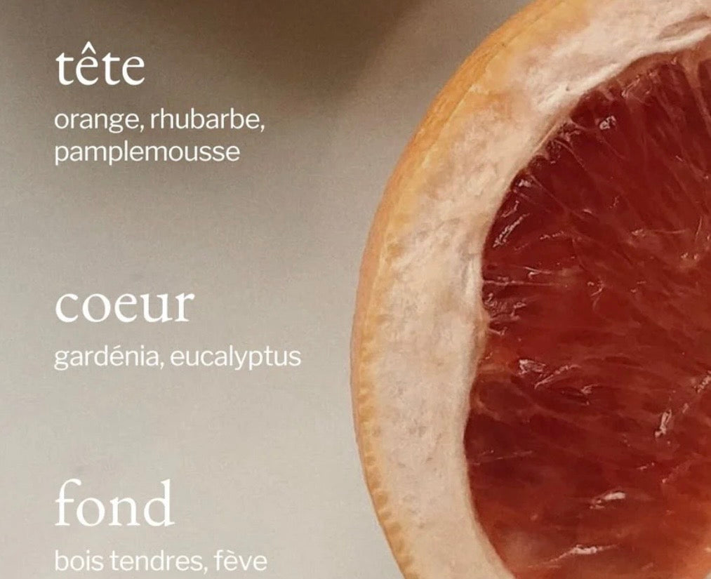 Diffuseur pour voiture | Eucalyptus + Pamplemousse SOJA & CO Soja & co