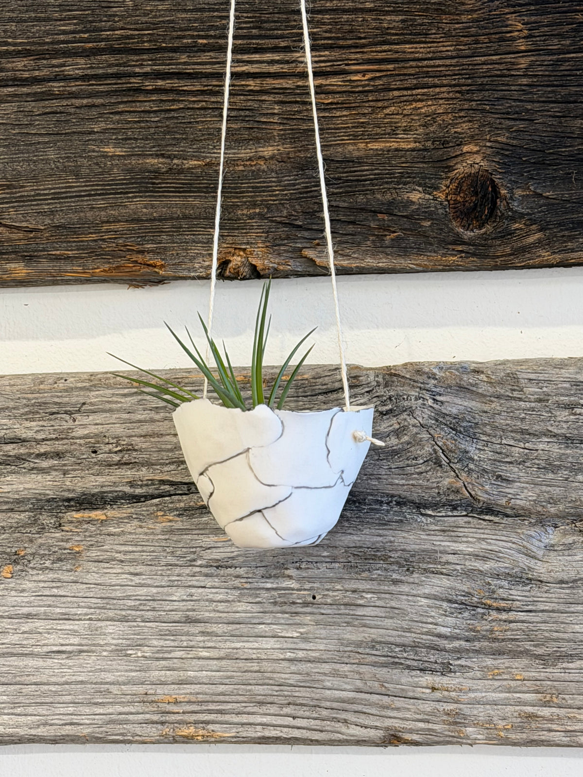 Jardinière en porcelaine petite Blanc Noir Atelier G par Gréta Céramiste Jardinière suspendu