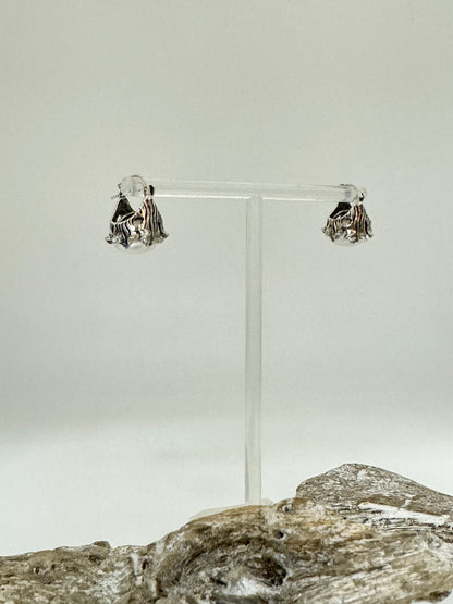 Boucles d'oreilles Perles et Argent