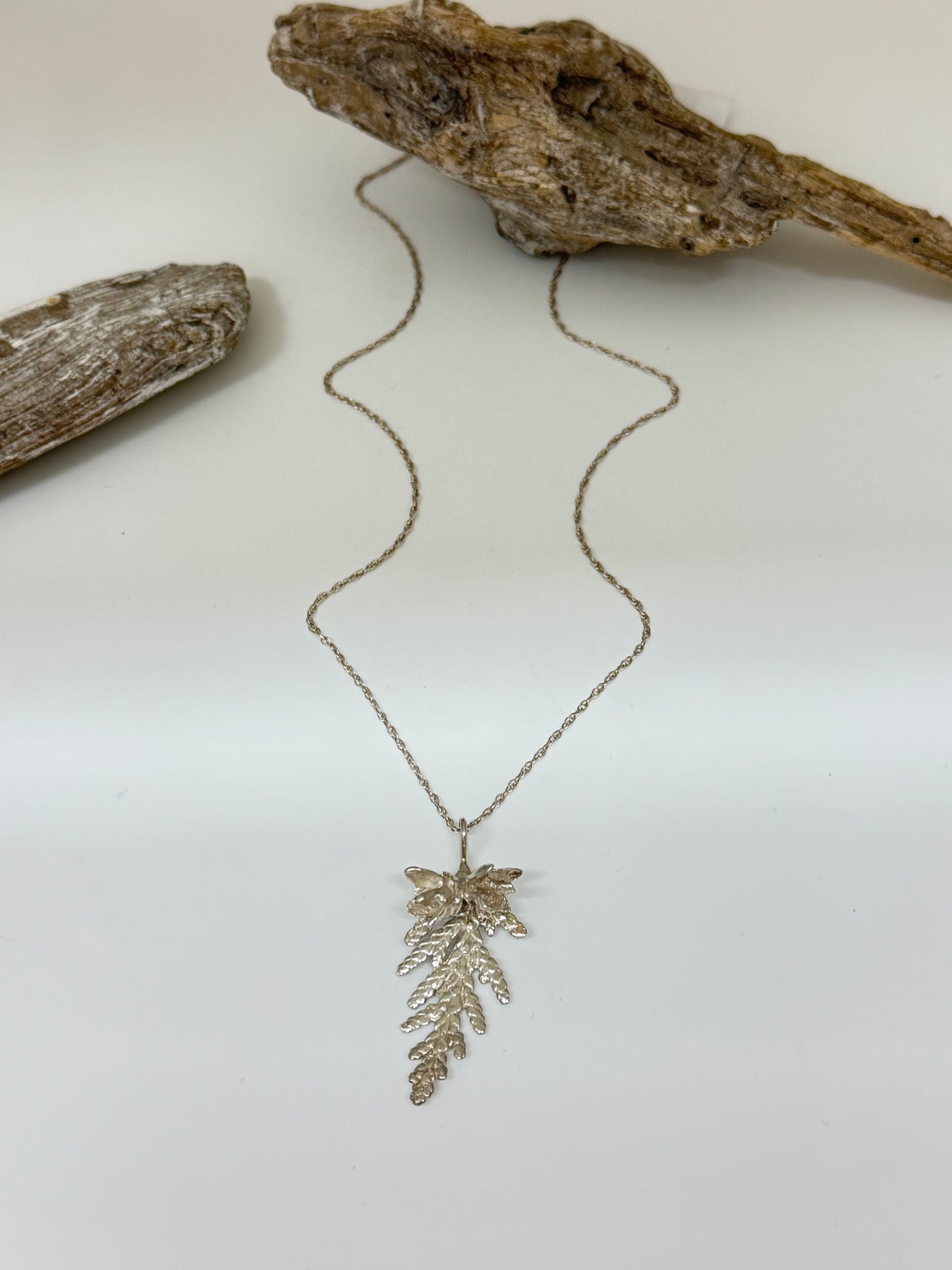 Collier Cèdre pendentif 4, thuya occidental