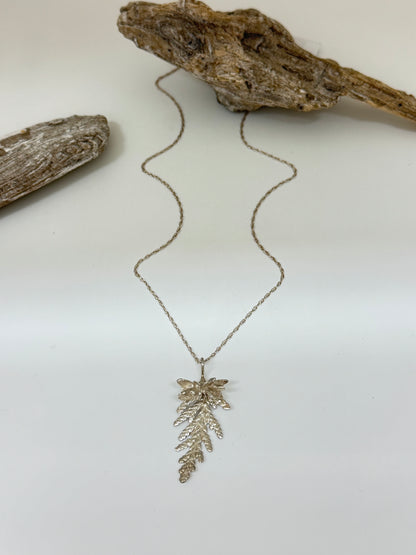 Collier Cèdre pendentif 4, thuya occidental