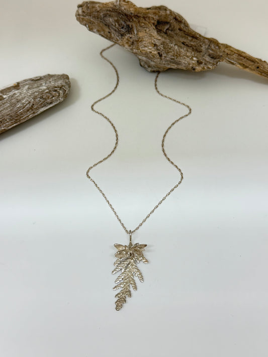 Collier Cèdre pendentif 4, thuya occidental