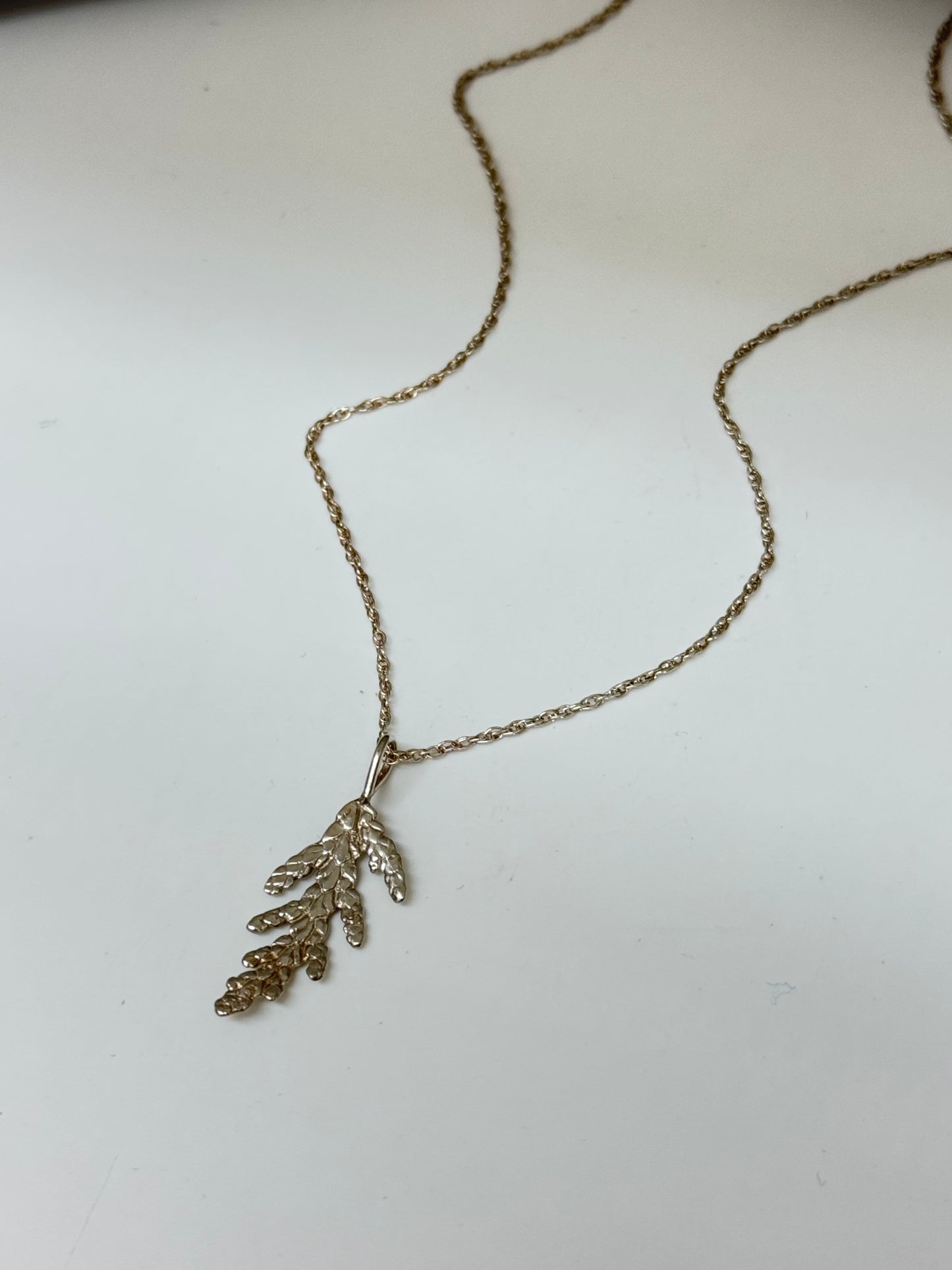Collier Cèdre 2, Thuya occidental Amulette par Bénédite Séguin H-C-P2