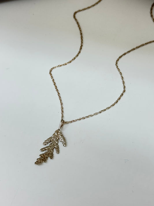 Collier Cèdre 2, Thuya occidental Amulette par Bénédite Séguin H-C-P2
