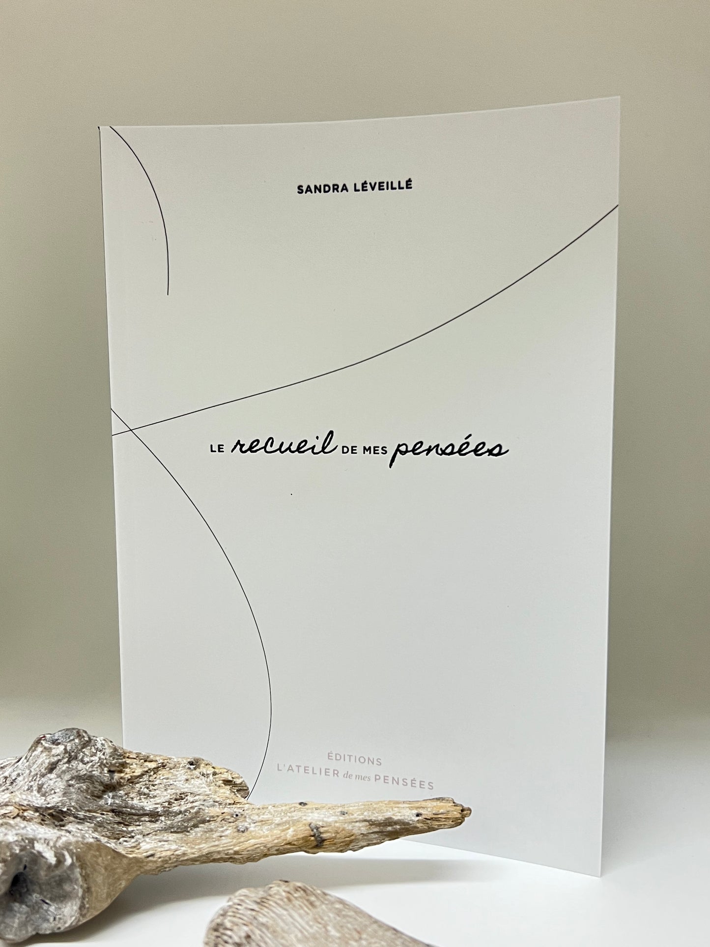  Recueil de mes pensées Sandra Léveillé Magog Recueil de mes pensées