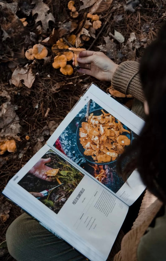   FORÊT identifier, cueillir, cuisiner Gourmet Sauvage Mont-Blanc Québec  livre Forêt