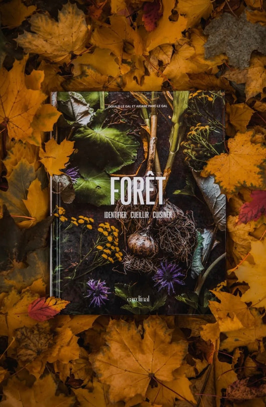   FORÊT identifier, cueillir, cuisiner Gourmet Sauvage Mont-Blanc Québec  livre Forêt